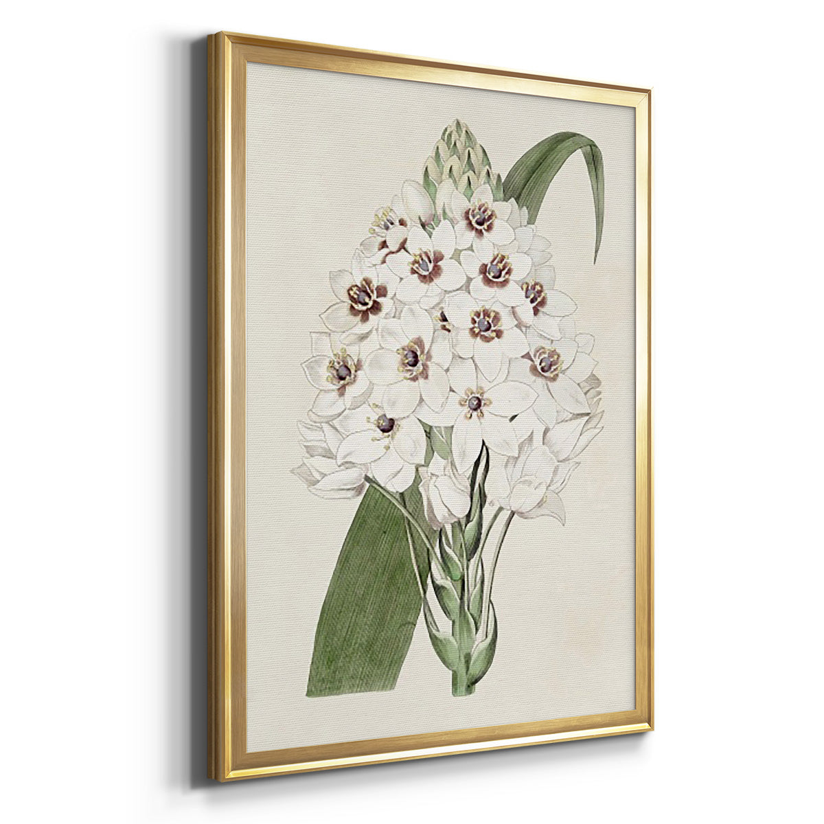 Flore Albo II - Modern Framed Canvas Print