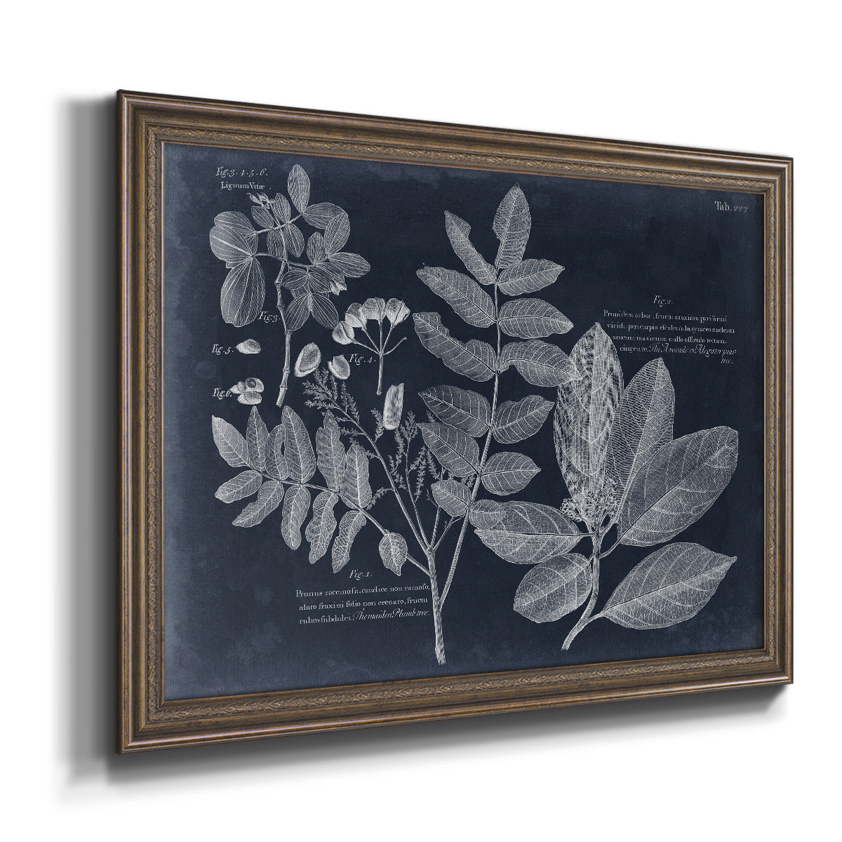 Foliage on Navy V Premium Framed Canvas- Ready to Hang