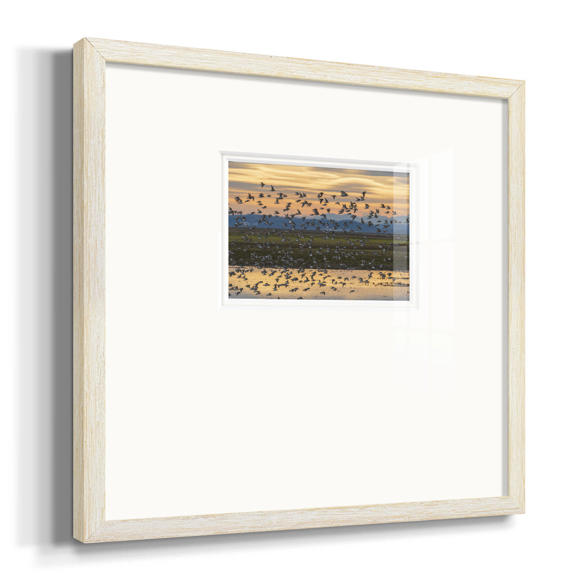 Sunset Flight Premium Framed Print Double Matboard