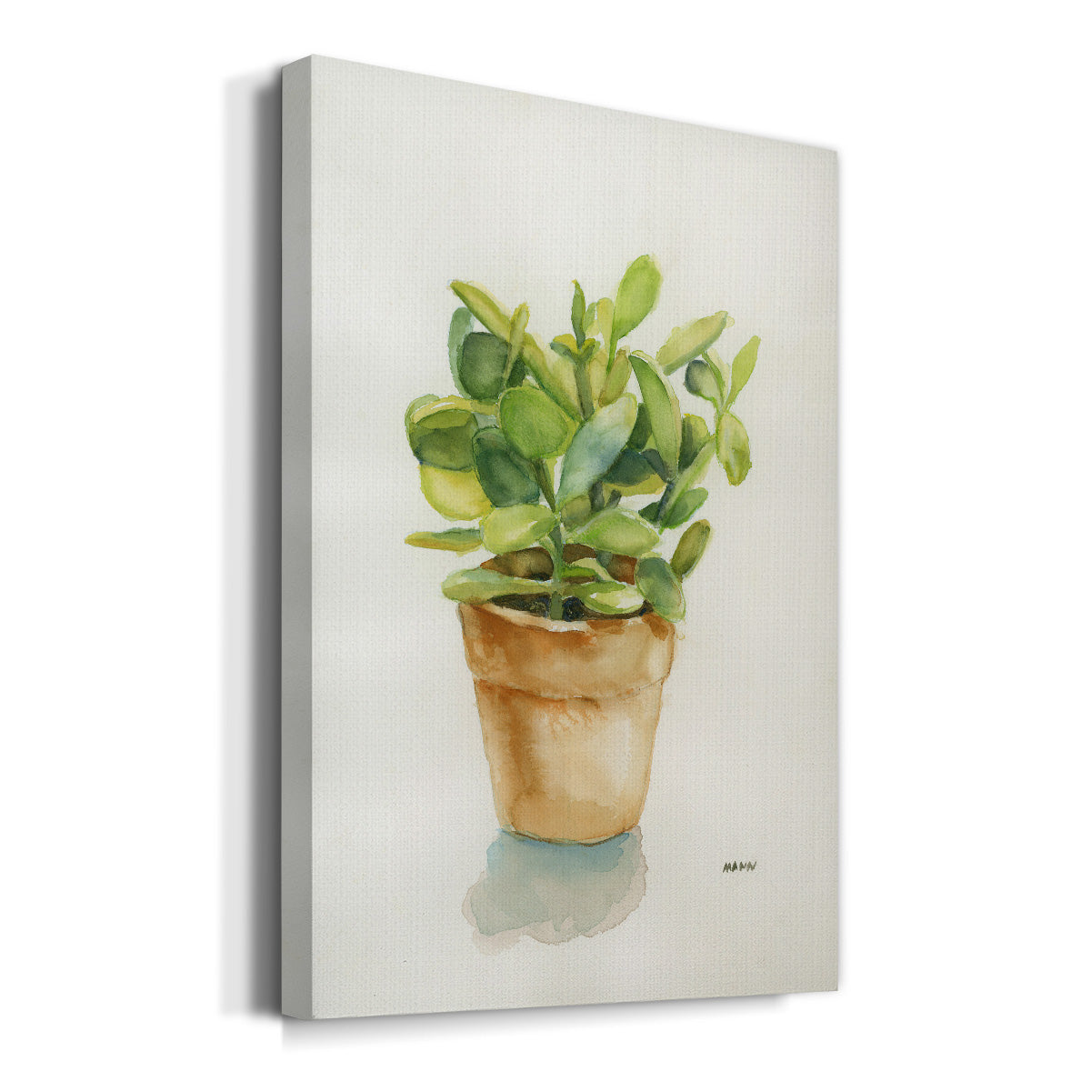 Succulent I - Canvas Art Print