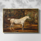 Grey Arabian Stallion, Property of Sir Watkin Williams-Wynn, c. 1817 - Floater Framed Canvas Print