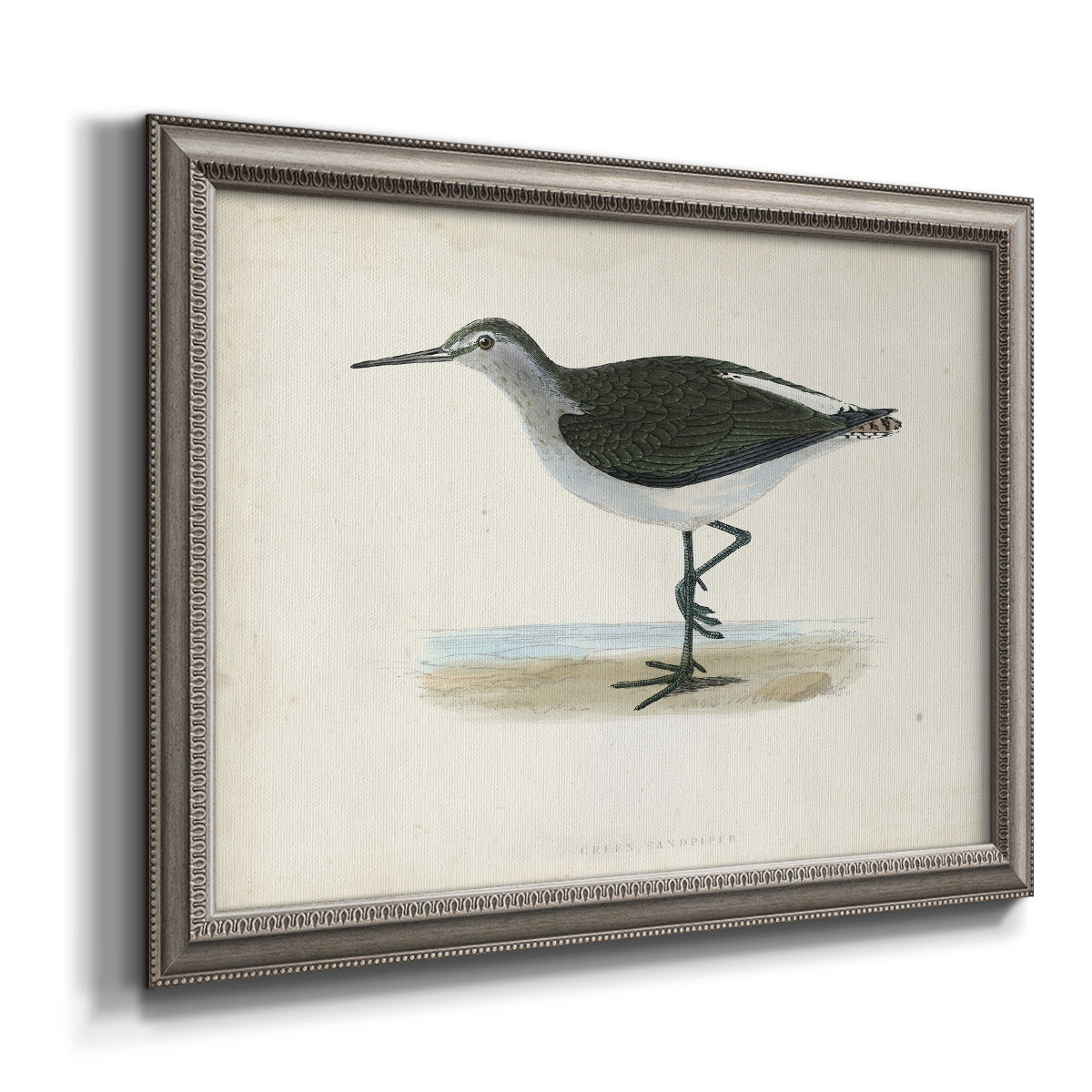 Morris Sandpipers VI Premium Framed Canvas- Ready to Hang