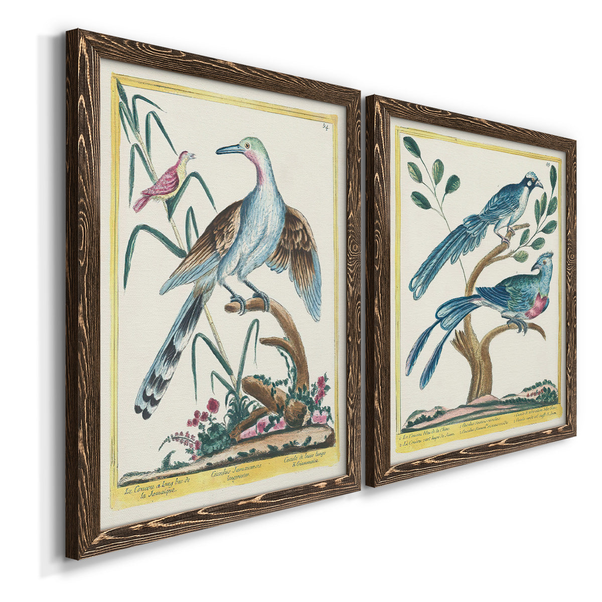 Pastel Birds V - Premium Framed Canvas 2 Piece Set - Ready to Hang