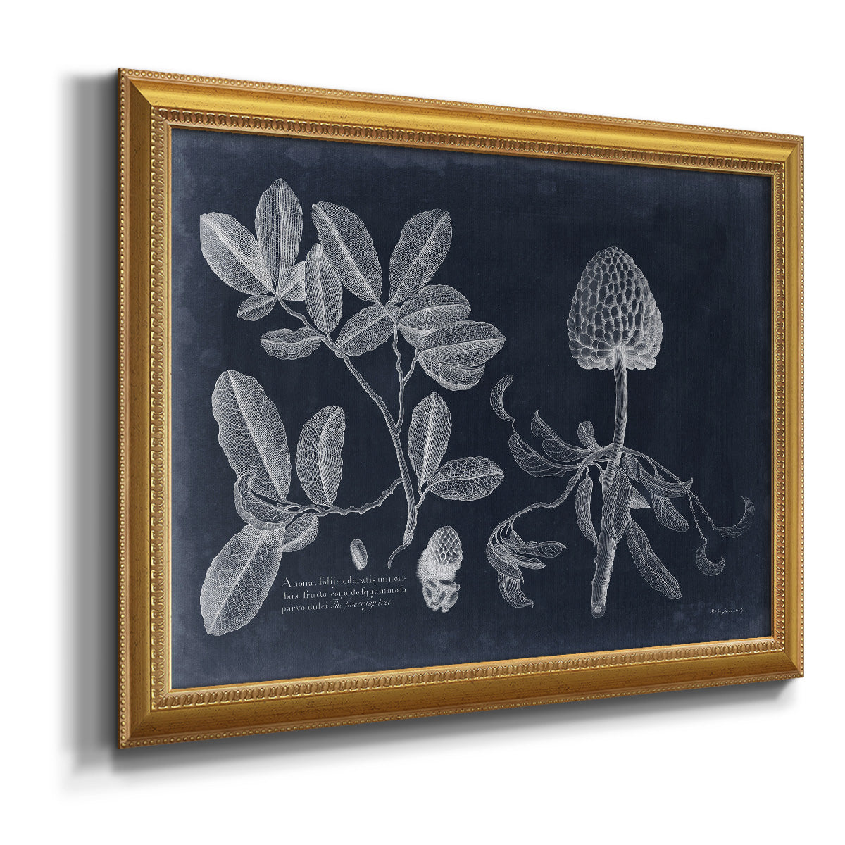 Foliage on Navy II Premium Framed Canvas- Ready to Hang