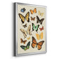 Collected Flutter I - Modern Framed Canvas Print