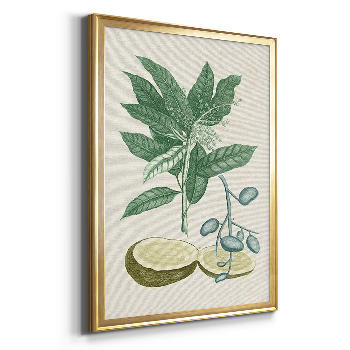 Buchoz Tropicals IV - Modern Framed Canvas Print