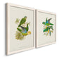 Lime & Cerulean Parrots I - Barnwood Framed Canvas Set