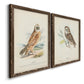 Hawk Owl - Premium Framed Canvas 2 Piece Set - Ready to Hang