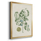 Buchoz Tropicals V - Modern Framed Canvas Print