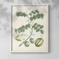 Buchoz Tropicals II - Restickable Framed Art Print
