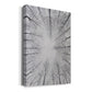 Deciduous Canopy I - Canvas Art Print