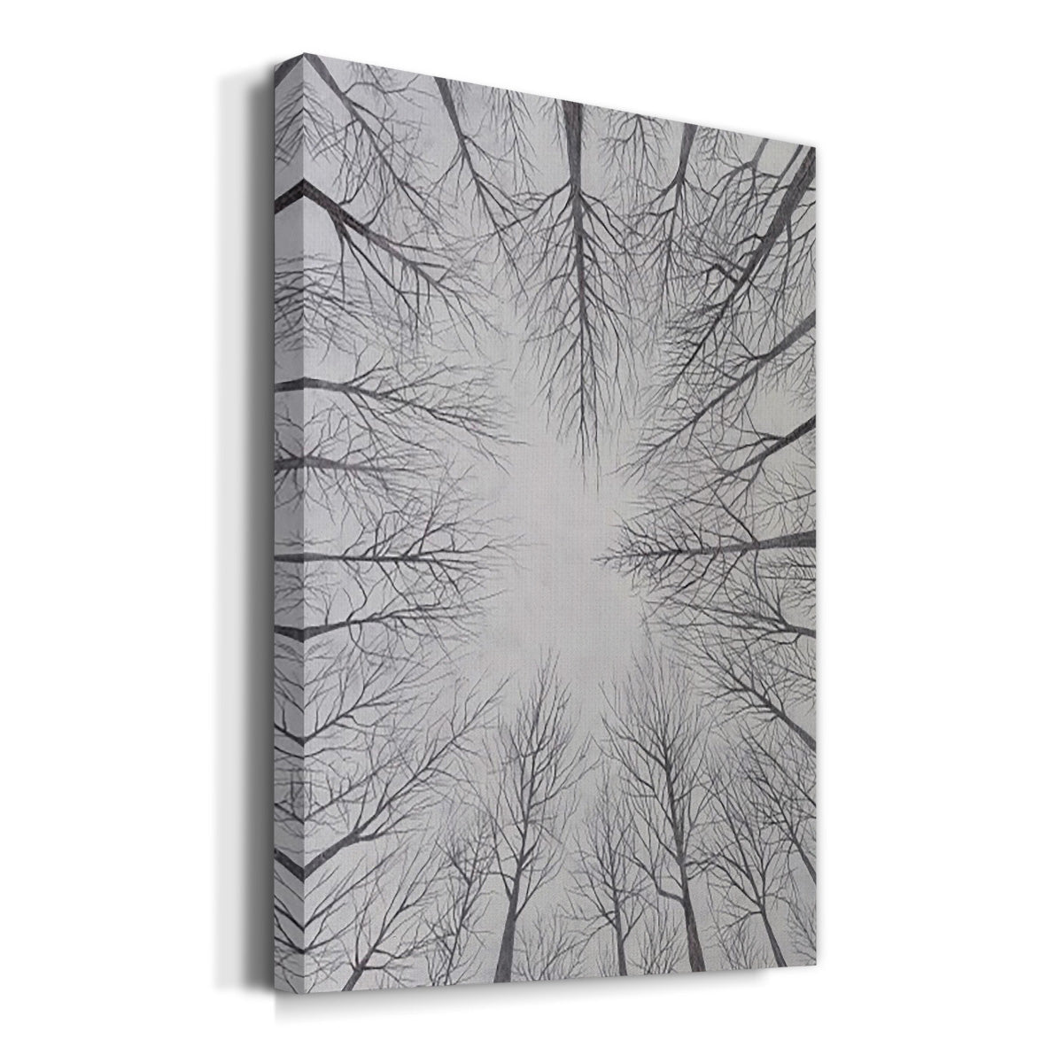 Deciduous Canopy I - Canvas Art Print