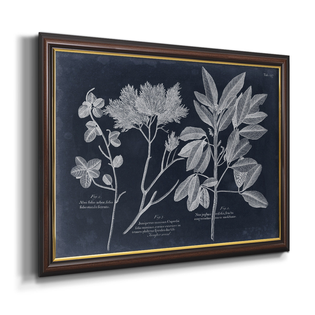 Foliage on Navy VI Premium Framed Canvas- Ready to Hang