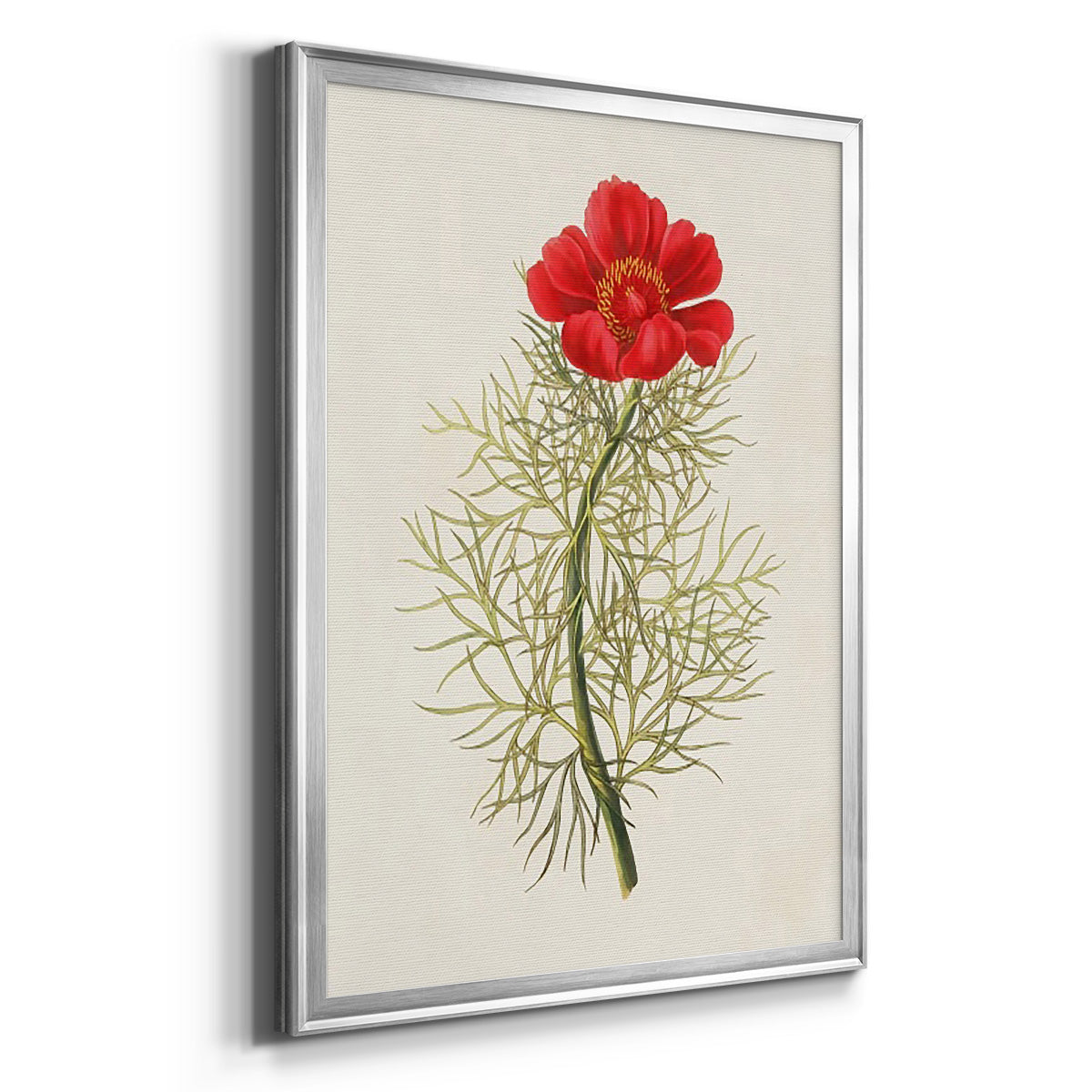 Flowers of the Seasons VII - Modern Framed Canvas Print