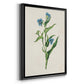 Flowers of the Seasons V - Modern Framed Canvas Print