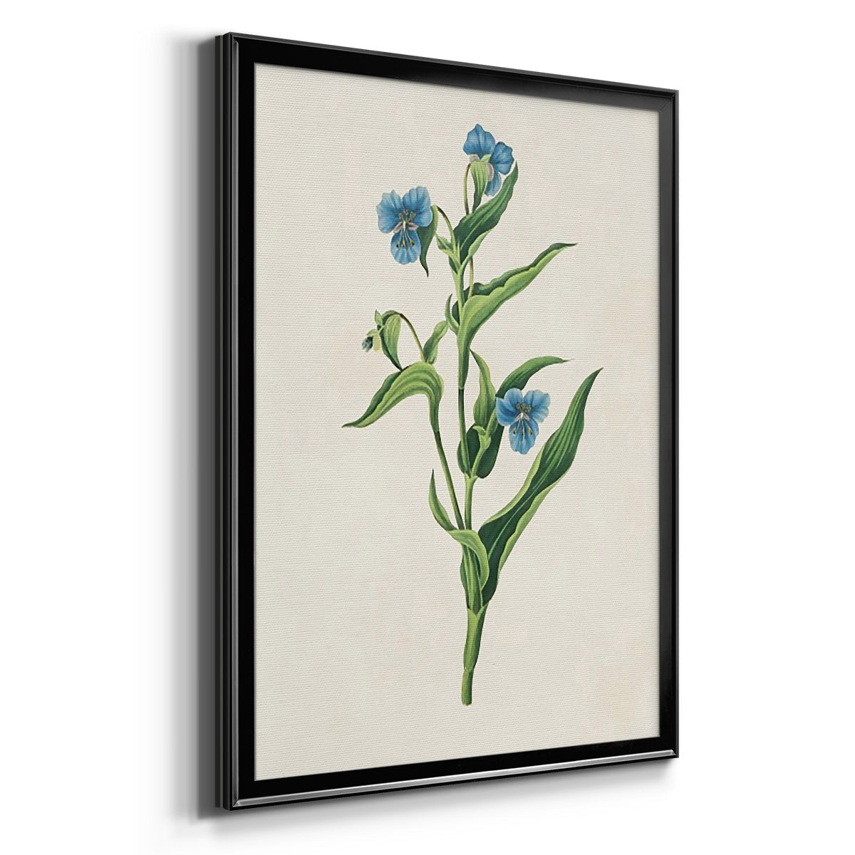 Flowers of the Seasons V - Modern Framed Canvas Print