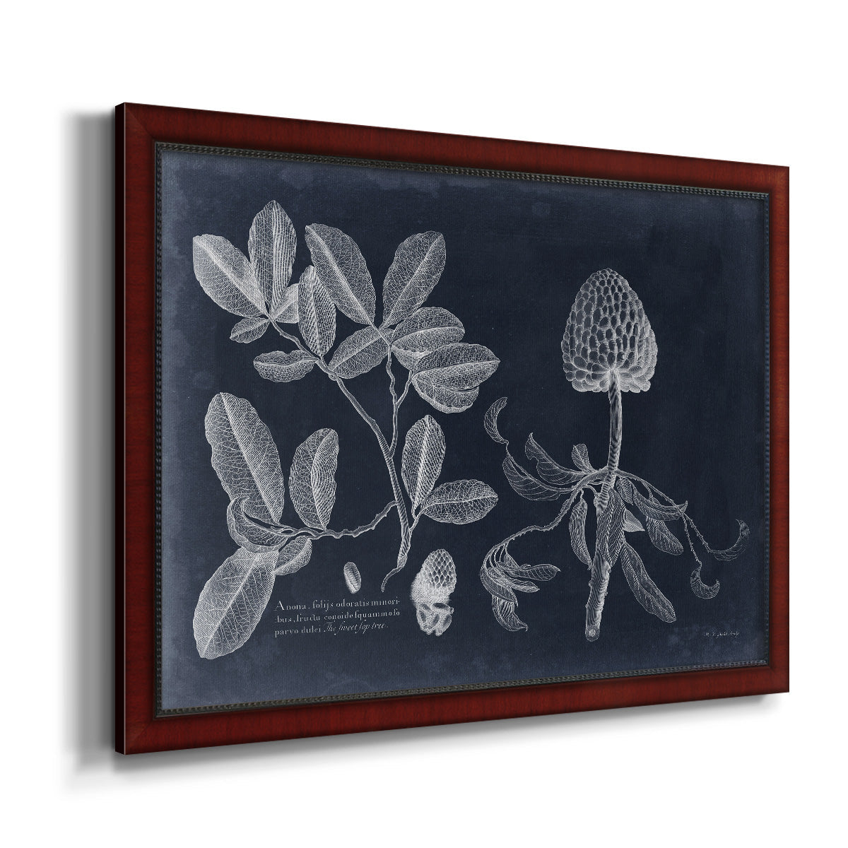 Foliage on Navy II Premium Framed Canvas- Ready to Hang