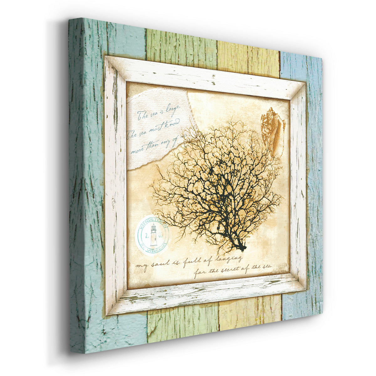 Sea Treasures III - Canvas Art Print