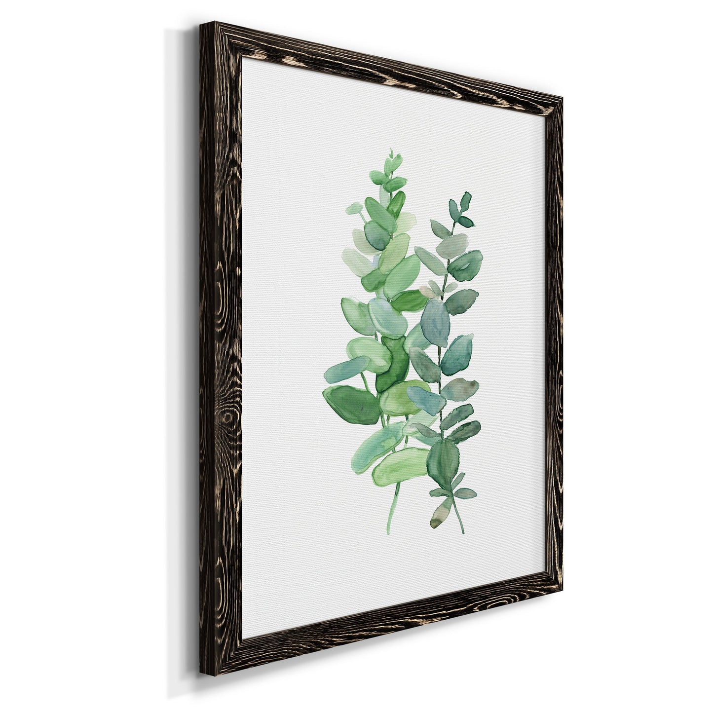Eucalyptus II - Barnwood Framed Canvas Print