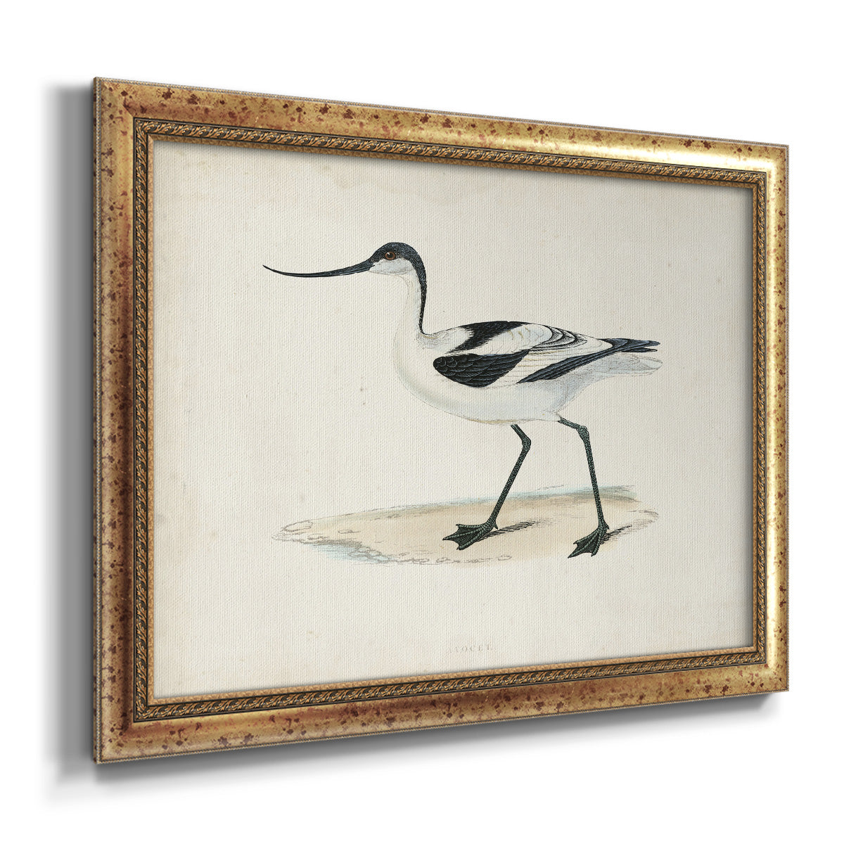 Morris Sandpipers IV Premium Framed Canvas- Ready to Hang