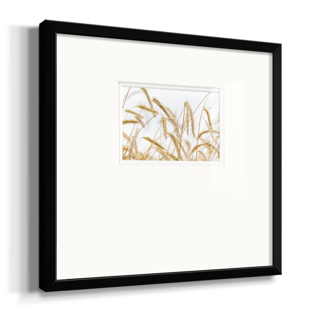 Wheat- Premium Framed Print Double Matboard