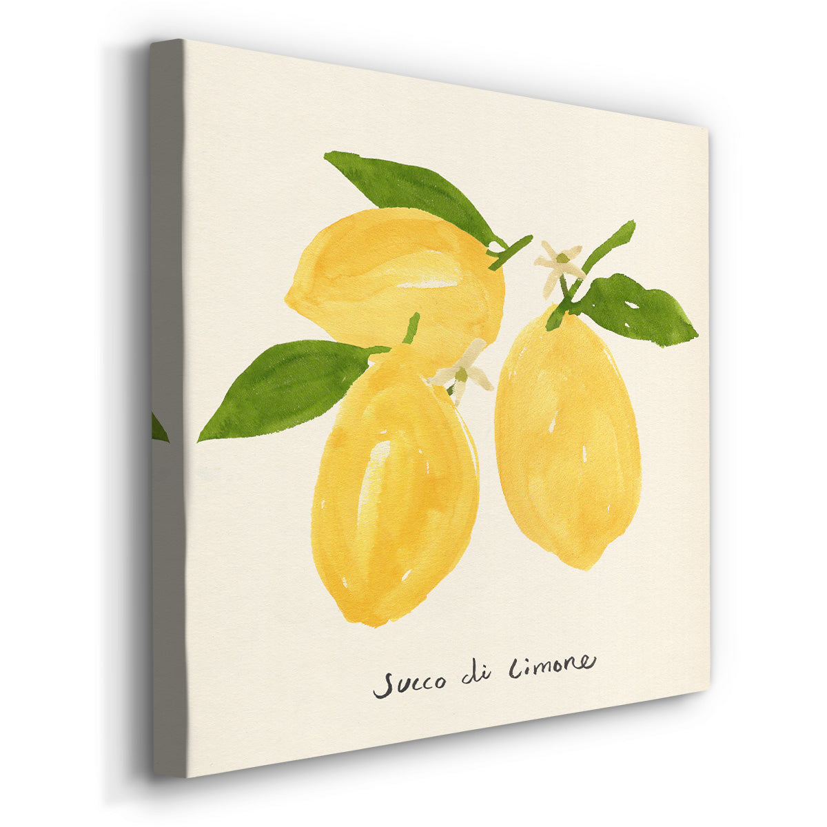 Citrus Trattare I-Premium Gallery Wrapped Canvas - Ready to Hang