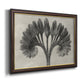 Vintage botanical plant study photograph by Karl Blossfeldt printed on canvas in an ornate mahogany wood frame with gold liner.