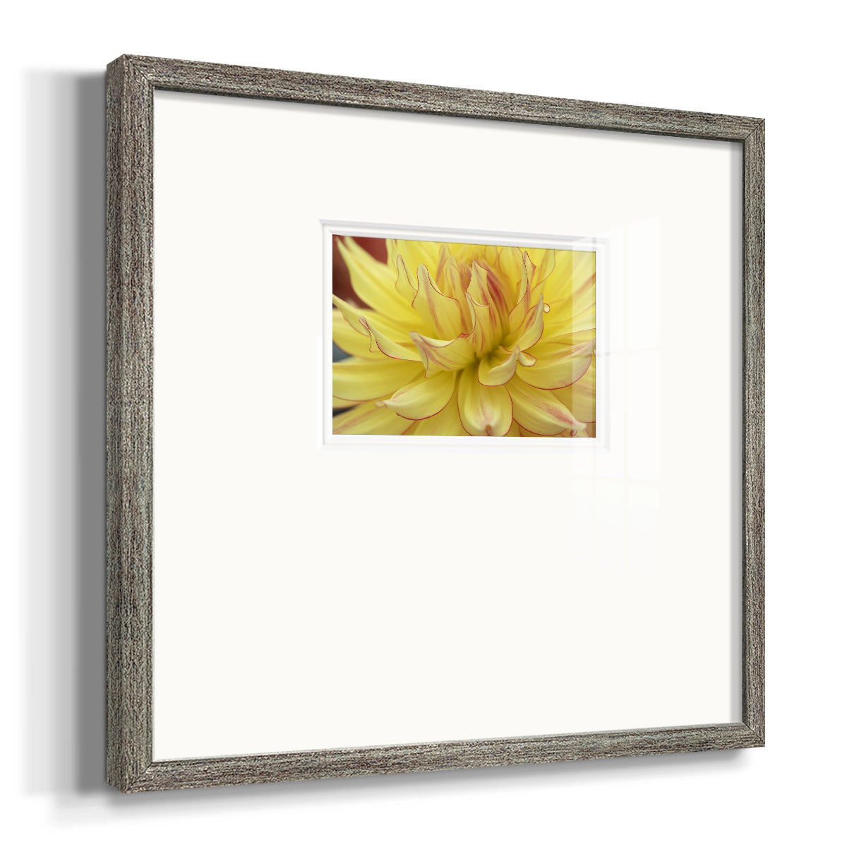 Blooms I- Premium Framed Print Double Matboard