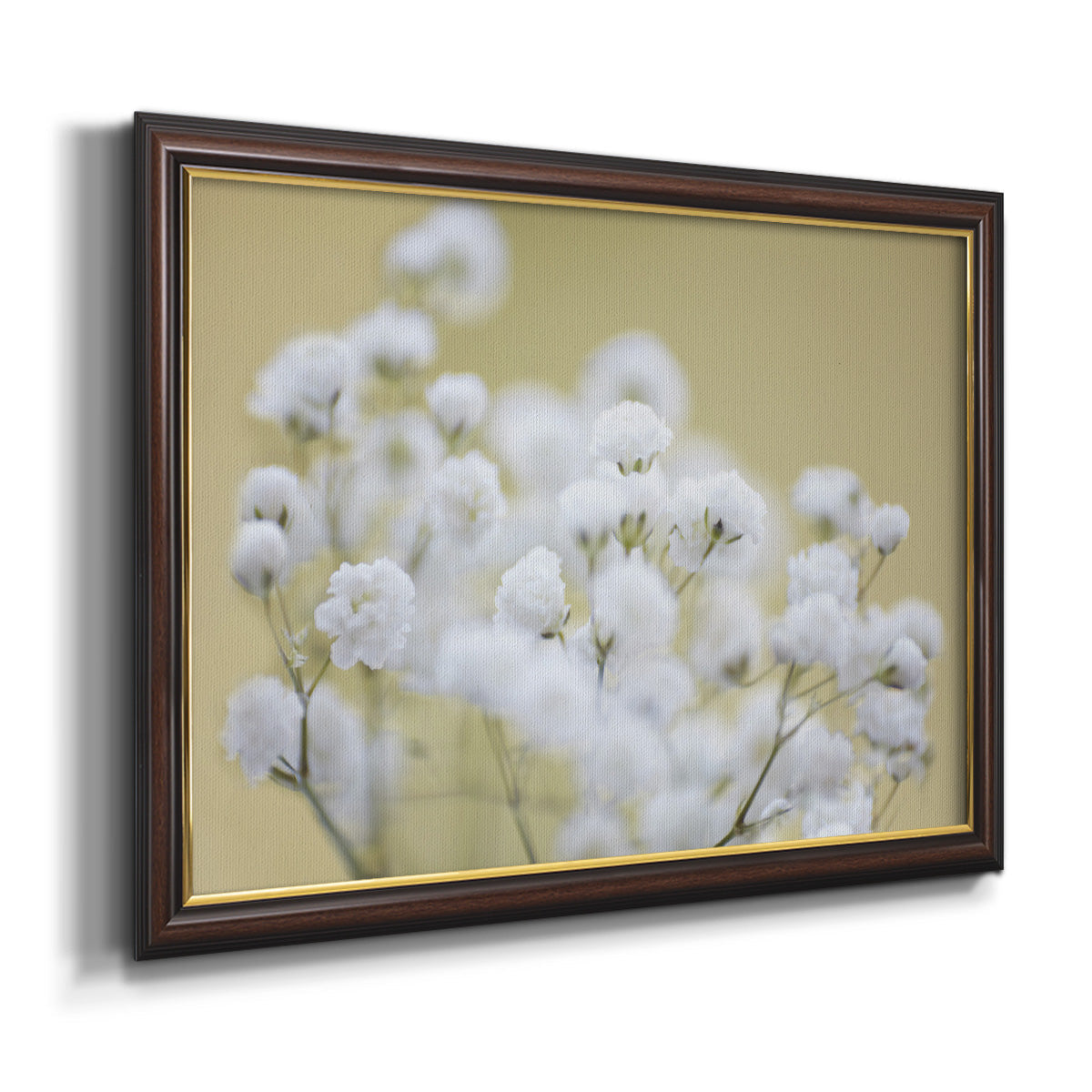 Baby's Breath Study III Premium Framed Canvas- Ready to Hang