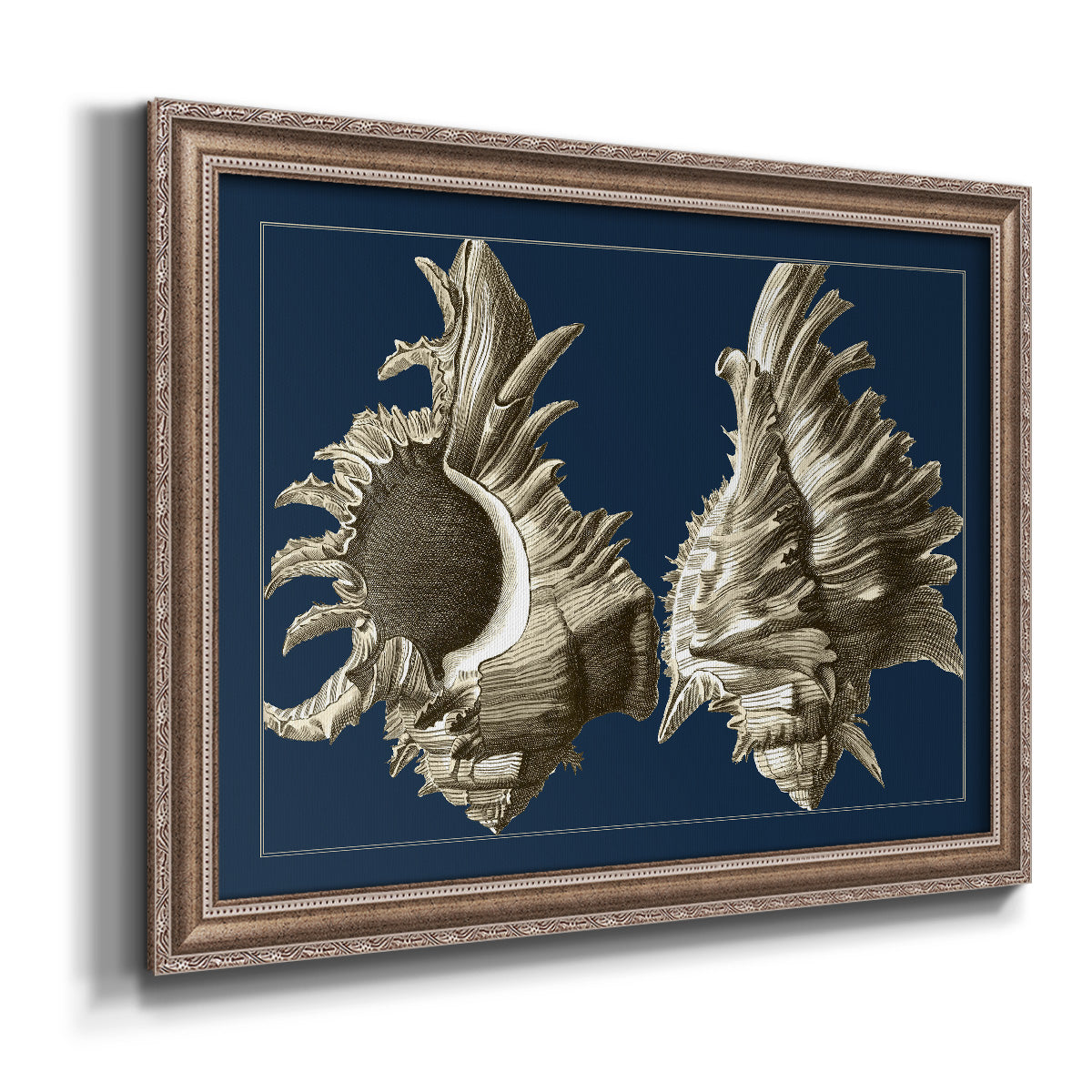 Conch Shells on Navy II Premium Framed Canvas- Ready to Hang