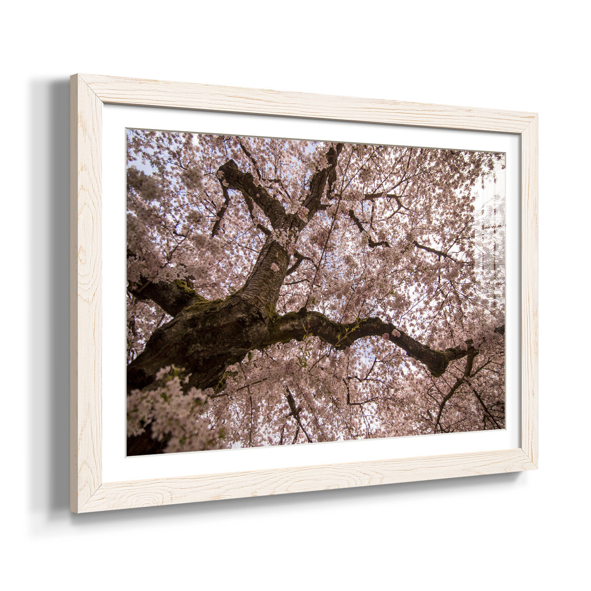 Spring's Arrival - Barnwood Framed Art Print