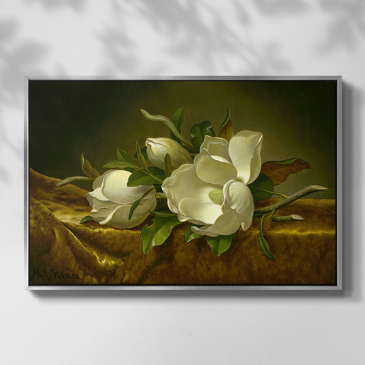 Magnolias on Gold Velvet Cloth, c. 1888-1890 - Floater Framed Canvas Print