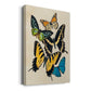 Collaged Butterflies II Premium Gallery Wrapped Canvas - Ready to Hang