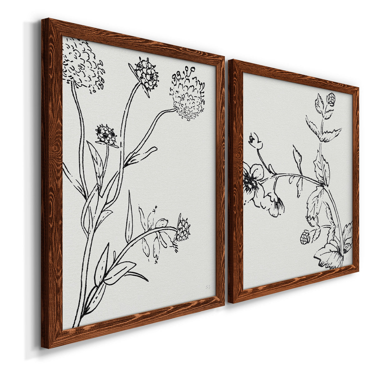 Botanical Study I   - Premium Framed Canvas 2 Piece Set - Ready to Hang