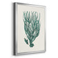 Antique Coastal Coral VIII - Modern Framed Canvas Print