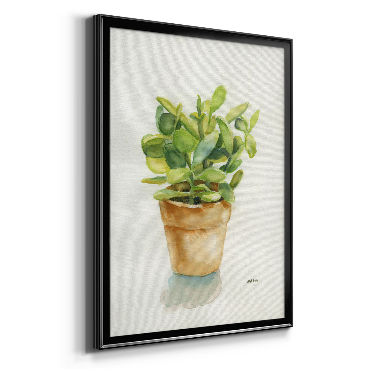 Succulent I - Modern Framed Canvas Print