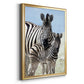 Family of Namibia - Modern Framed Canvas Print