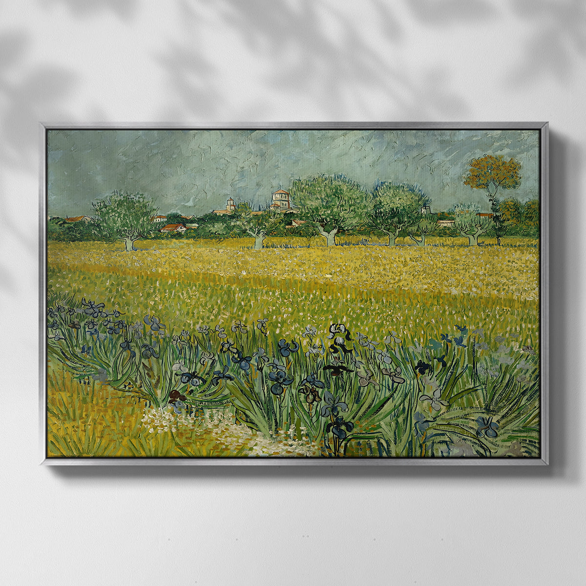 Field with Irises near Arles, 1888 - Floater Framed Canvas Print