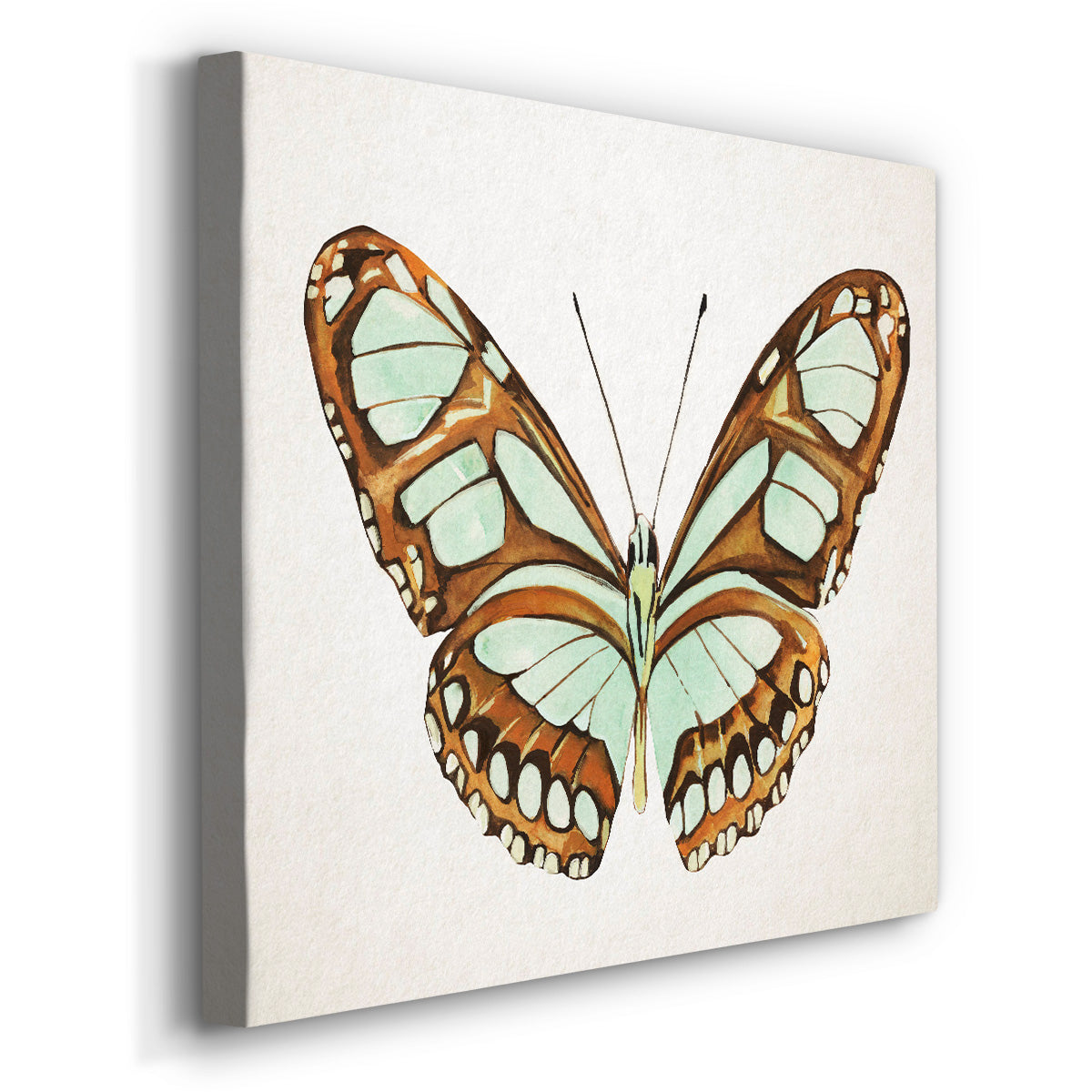 Mint Butterfly I - Canvas Art Print