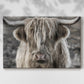 Highland cow with long hair showing expression in moody landscape during early morning light