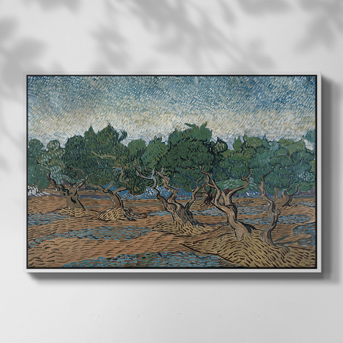 Olive Trees, 1889 - Floater Framed Canvas Print