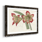 Amaryllis Varietals IV-Premium Framed Print - Ready to Hang