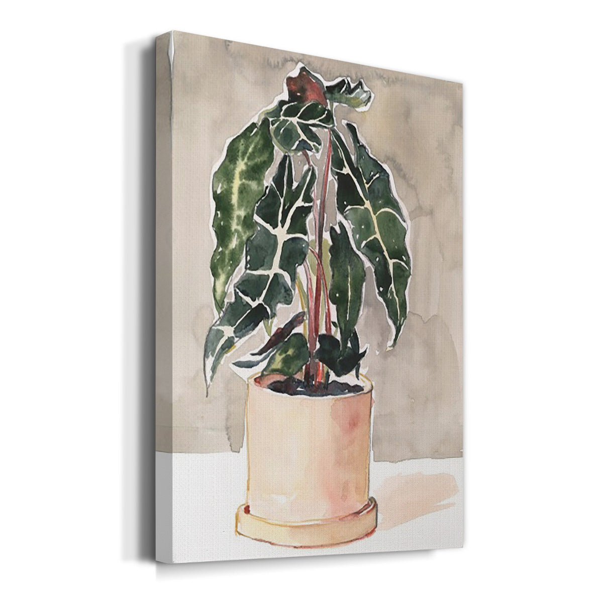 Potted Houseplant I - Canvas Art Print