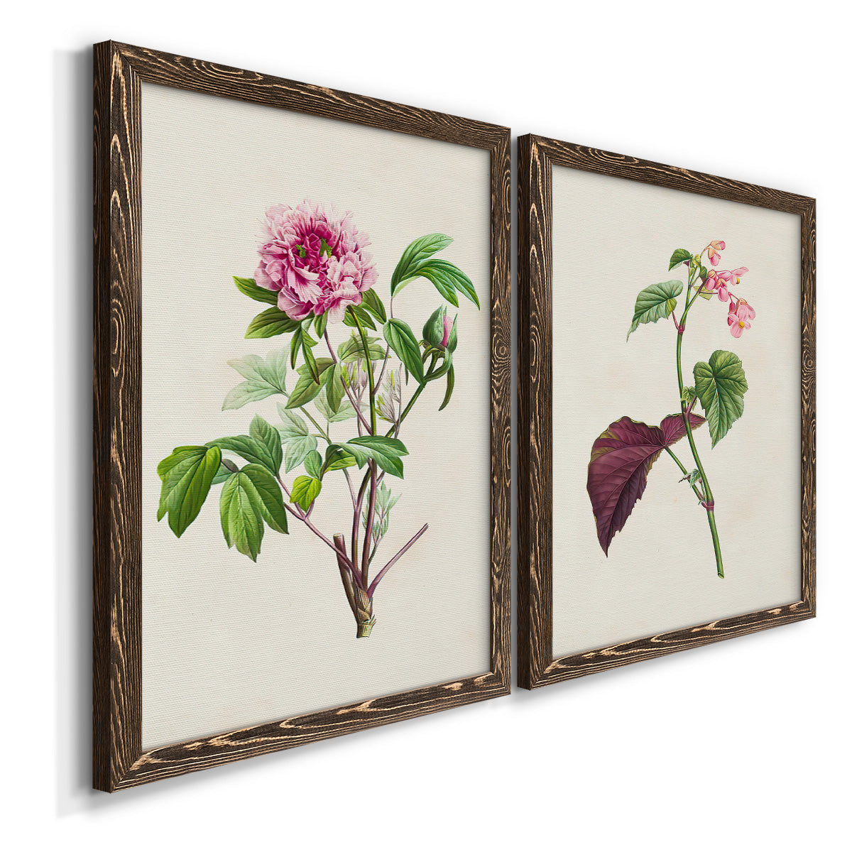 Pretty Pink Botanicals V - Barnwood Framed Canvas Set