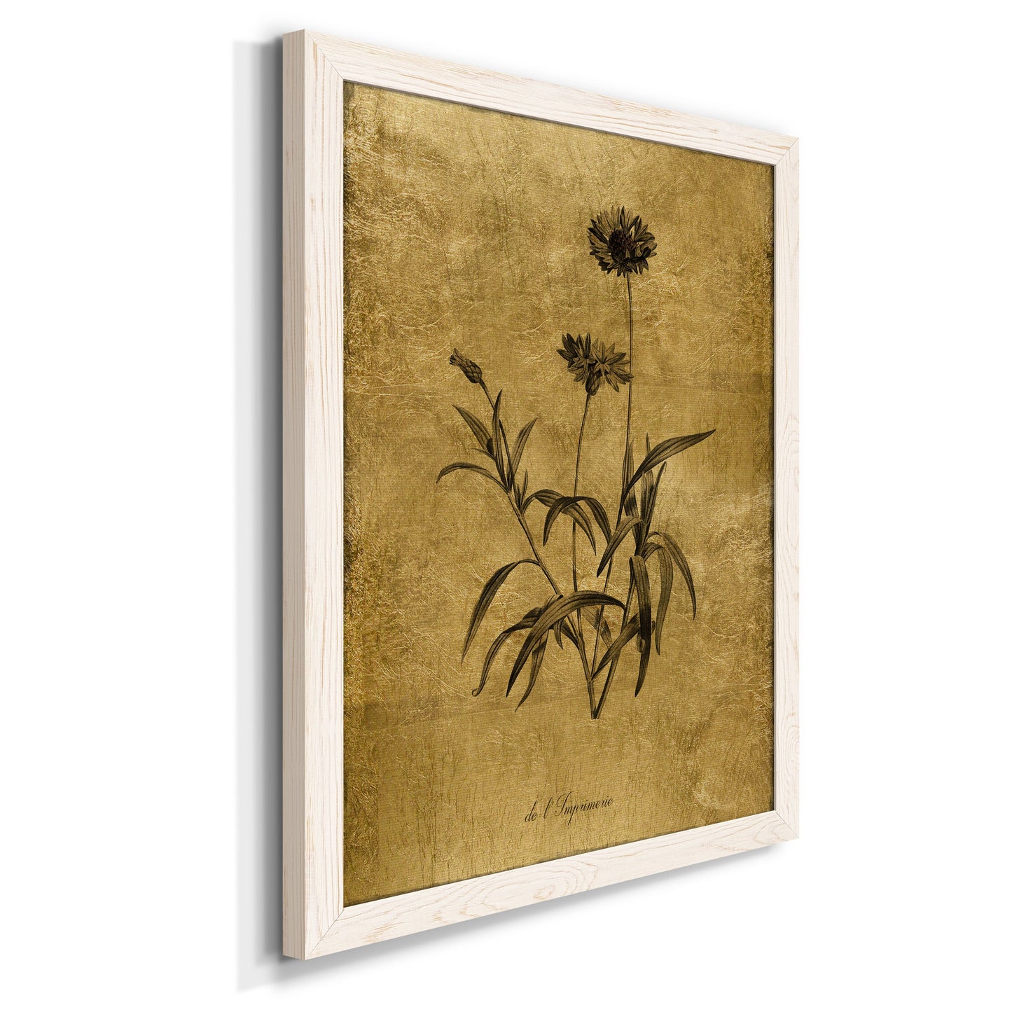 Gold Sketch Botanical I - Premium Canvas Framed in Barnwood - Ready to Hang