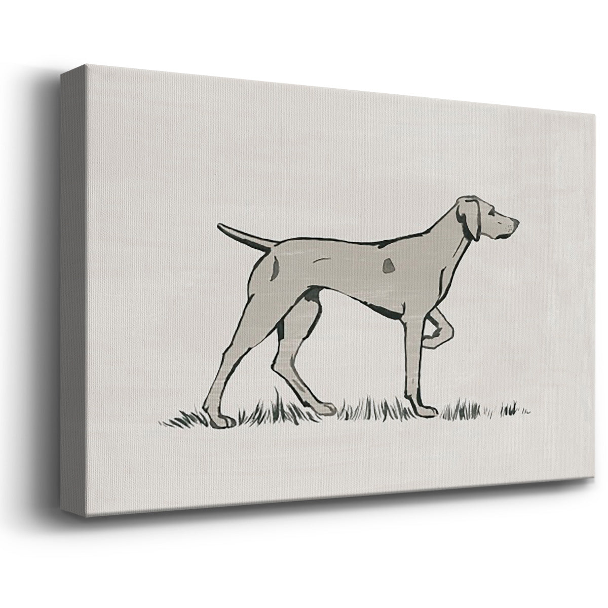 Neutral Pointer I - Canvas Art Print