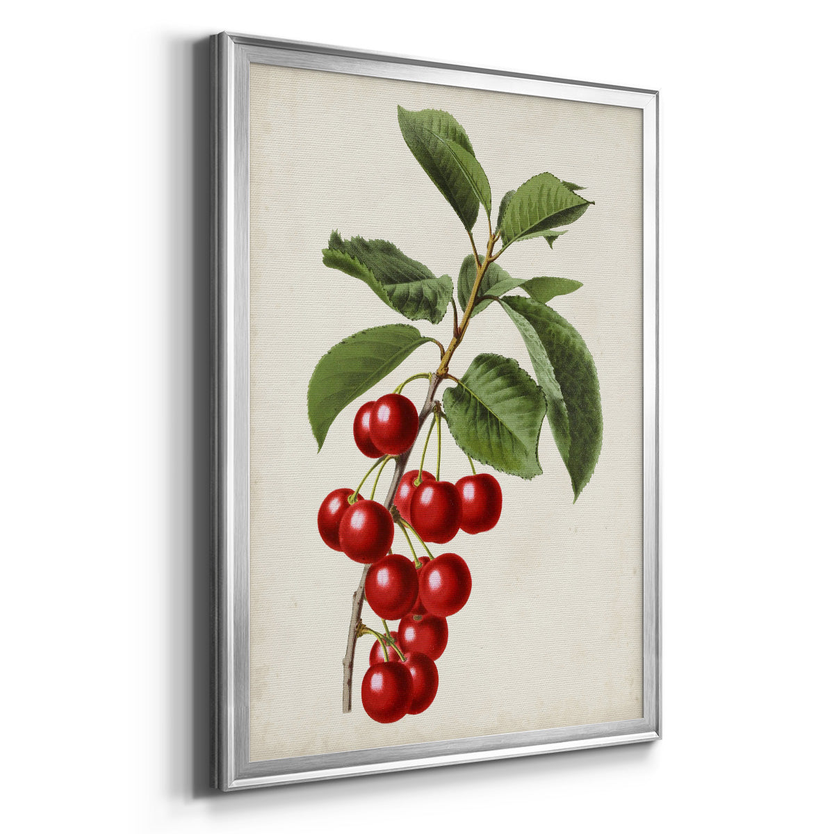 Antique Fruit II - Modern Framed Canvas Print