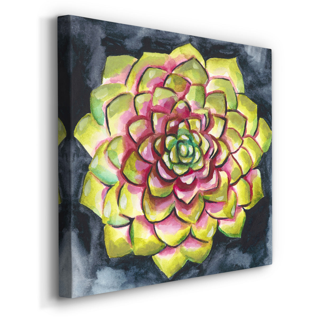 Succulent Rosette III - Canvas Art Print