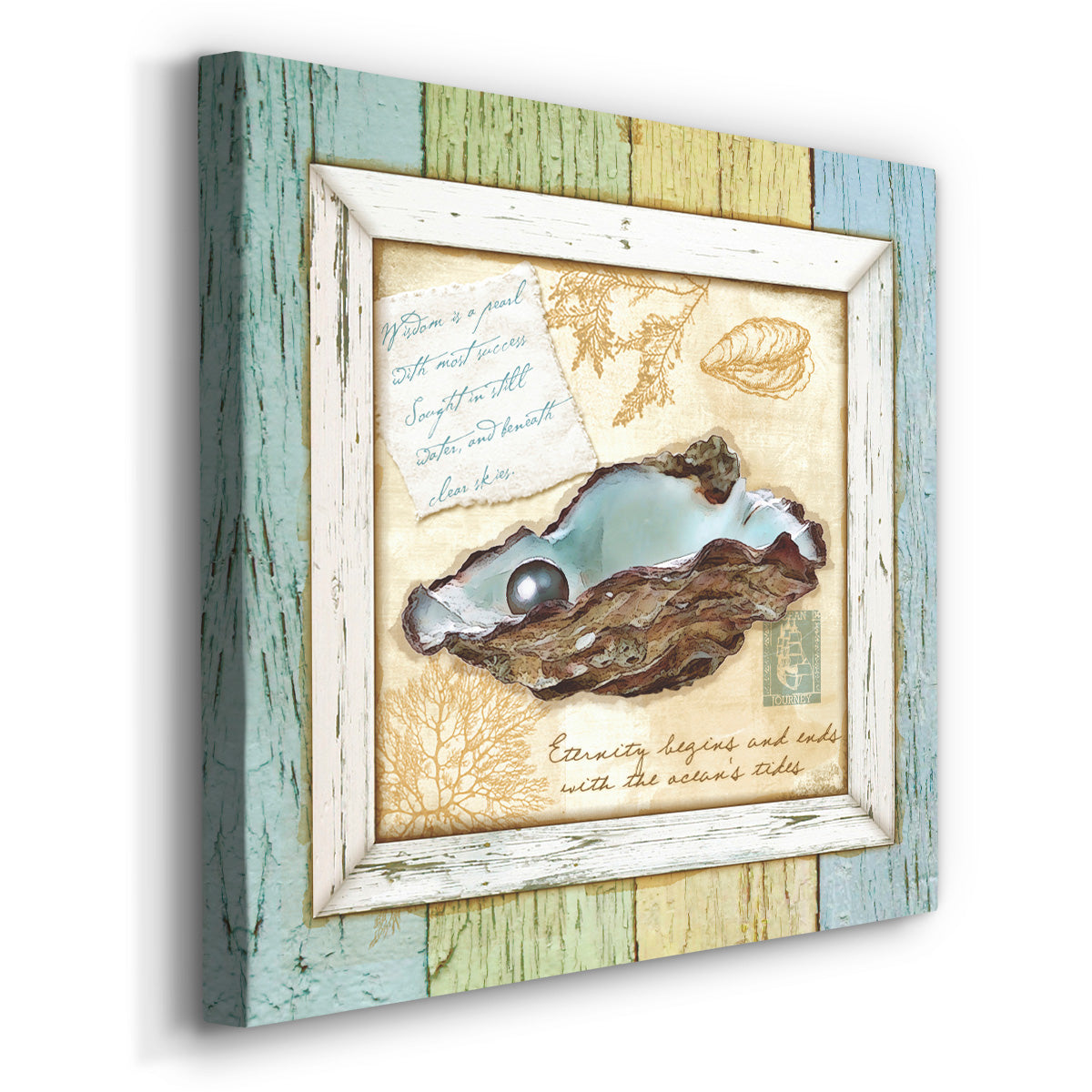 Sea Treasures IX-Premium Gallery Wrapped Canvas - Ready to Hang