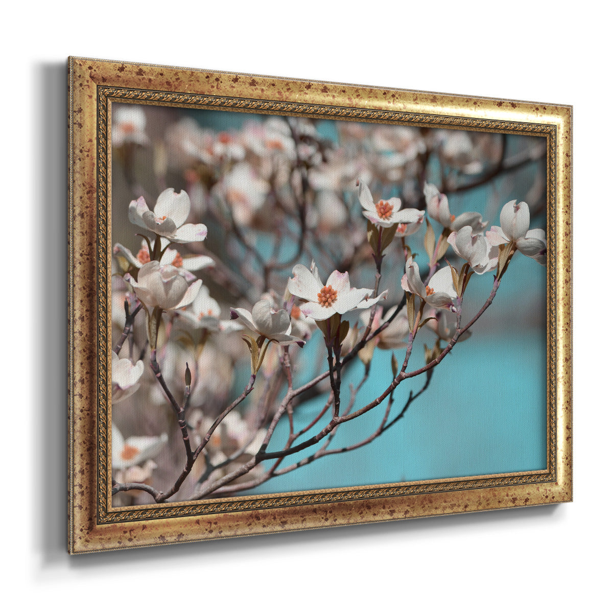 Dogwood Spring III Premium Framed Canvas- Ready to Hang